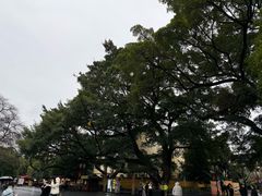-桂林独秀峰王城景区