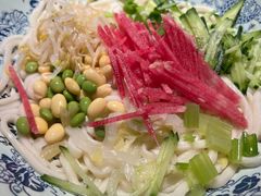 -大海碗·炸酱面·烤鸭·京菜(天坛店)