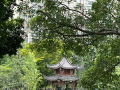 -四海公园(南山区)