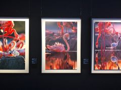 -罗红摄影艺术馆