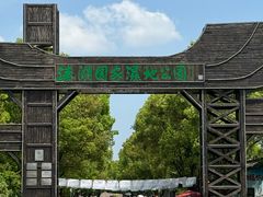 -溱湖国家湿地公园