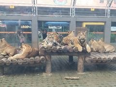 -西安秦岭野生动物园