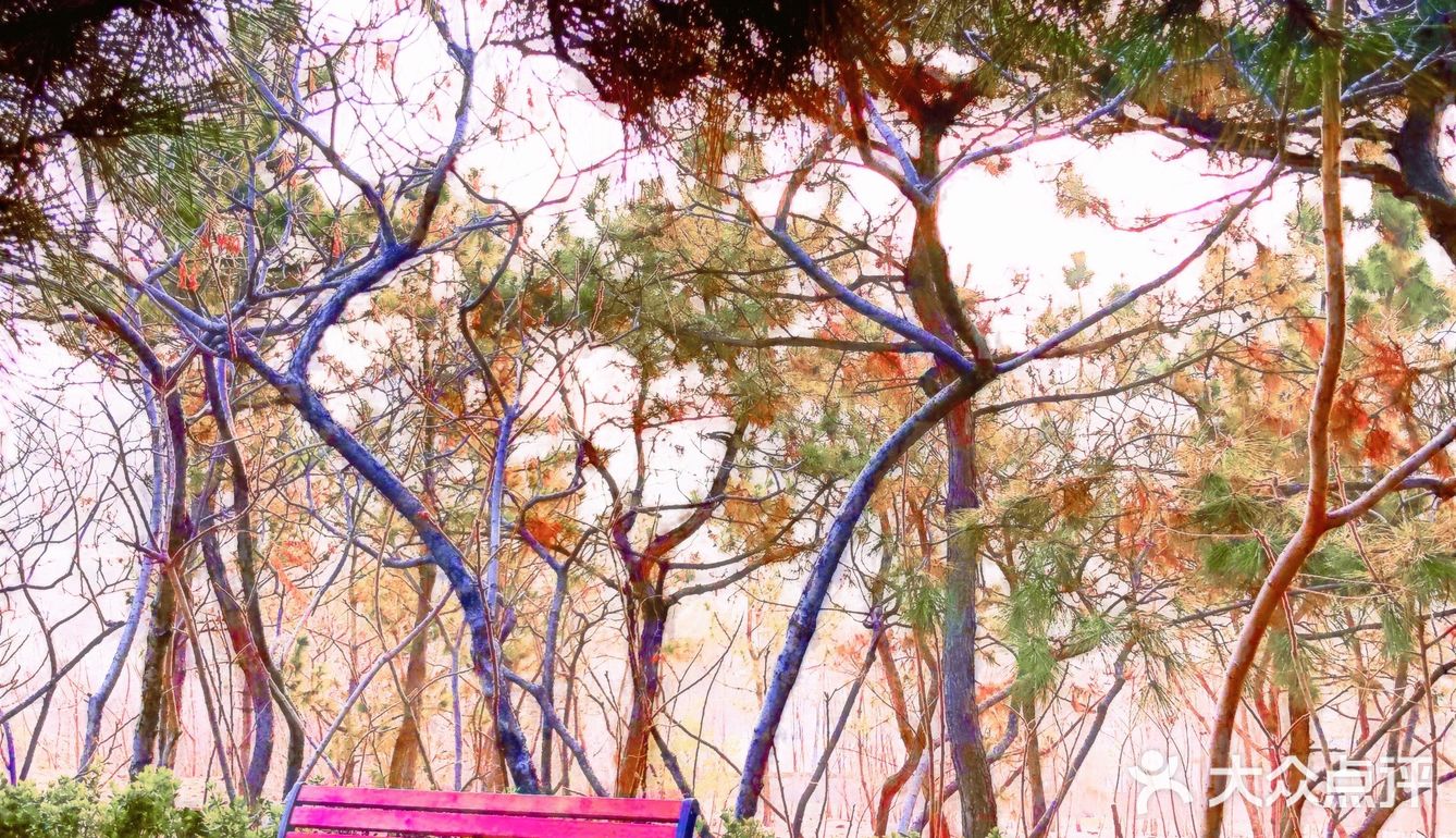 只要稍有留心，就会发现美丽无处不在