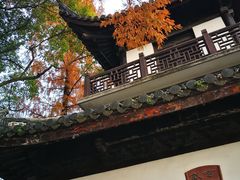 -汇龙潭