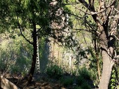 -白水寺森林公园