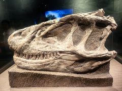 -自贡恐龙博物馆