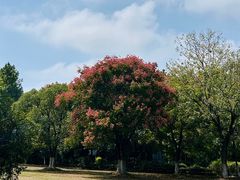 -艾溪湖湿地公园