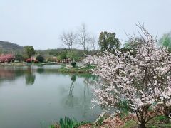-南山风景名胜区