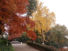 -上海市保健医疗中心(华东疗养院)