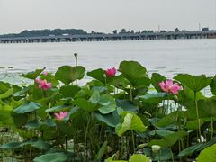 -丁香湖公园