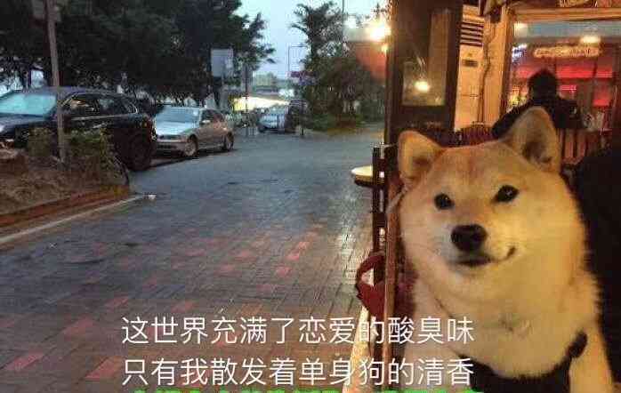 "-大众点评移动版