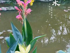 -广州莲花山旅游区