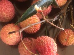 -东方鼎信农副产品交易中心