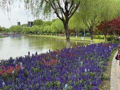 -上海鲜花港