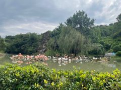 -宁波野生动物园