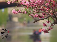 -海棠花溪(元大都城垣遗址公园)