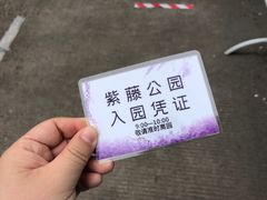 -嘉定紫藤园