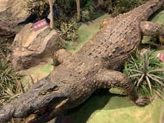 -陕西自然博物馆