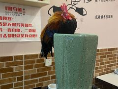 -重庆何乌鱼(南湖逸家店)