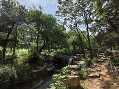 -北京西山国家森林公园