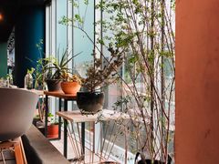-半山腰·云南菜(侨福芳草地店)