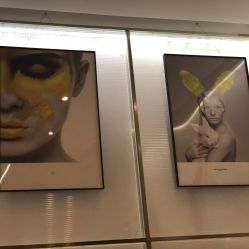 -崇尚GAVIN STYLE臻选