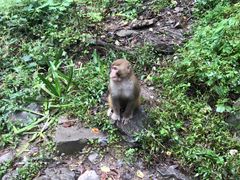 -黔府豆米火锅野菜馆(南马店)