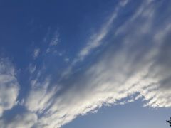 -海淀区图书馆·北馆