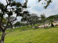 -长洲岛都市农业公园