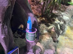 -正佳雨林生态植物园