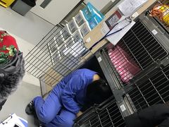 -北京派仕佳德动物医院·超导核磁·CT·神经科·骨科·内外科·急重症管理中心