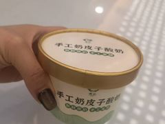 -椿记烧鹅(叠彩店)