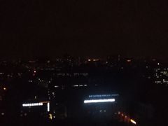 -南京维景国际大酒店(南京博物院店)