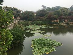 -赵家堡