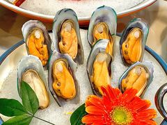 -喜聚薈·花膠雞海鮮火鍋(越秀店)
