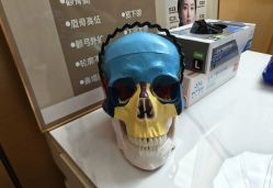 -颜和骨正&明星徒手小颜整骨