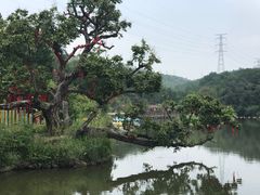 -清境桃源