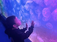 -左海海底世界