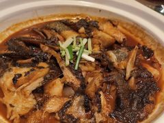 -金掌勺东北菜(格兰晴天店)