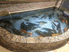 -余师傅鱼生王
