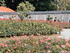 -人民公园(罗湖区)