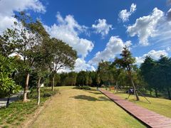 -上海浦江郊野公园-3号停车场