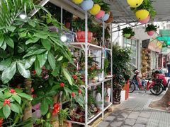-溪岸路花鸟市场