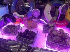 -北京希尔顿逸林酒店-逸轩西餐厅-自助餐厅