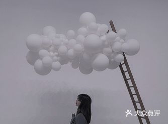 网络上的评价褒贬不一，从一水儿的好评变成了有很多差评