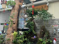 -丽江庭院之丽江往事(安定门店)