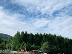 -武陵山森林公园