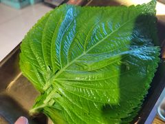 -范儿·嫂子烤肉·精致炭火烤肉(长治路店)