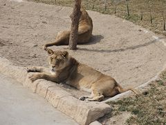 -北京野生动物园