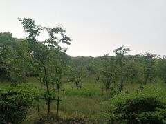 -同里国家湿地公园